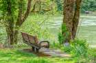 Rockport, Washington State, USA. Bench overlooking Skagit River in Rockport Steelhead Park. Art Print